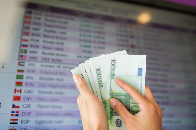 Forex kursy walut on line