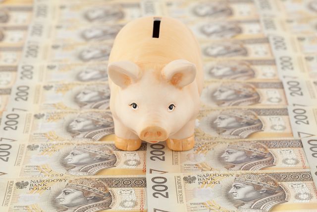 Forex bgz