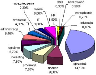 Mapa Rynku Pracy - Styczeń 2004