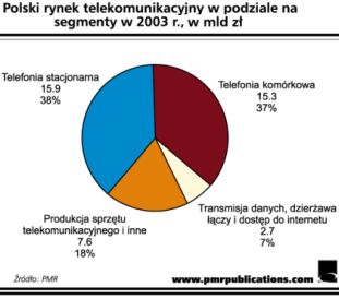 Rynek telekomunikacyjny w Polsce 2004