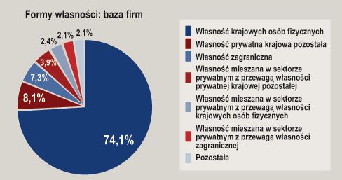 E-biznes w Polsce: kondycja finansowa 2009