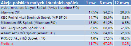 Fundusze inwestycyjne VIII 2009