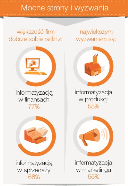 Informatyzacja przedsiębiorstwa po polsku