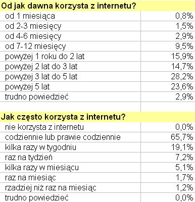 Profil polskiego internauty 2007