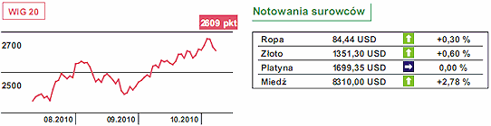 Rynek walutowy - ministrowie bezradni