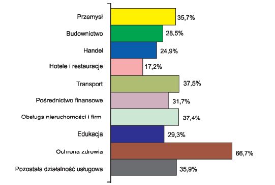 Sektor MSP w Polsce w latach 2008-2009