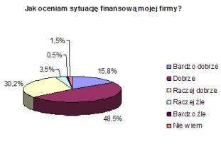 Kondycja finansowa polskich firm 2005