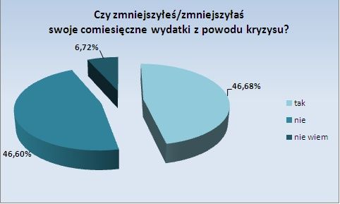 Kryzys w Polsce wg internautów