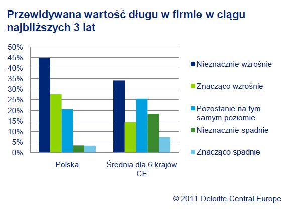 Polskie firmy planują ostrożne inwestycje