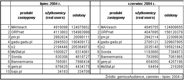 Statystyki polskiego Internetu - VII 2004