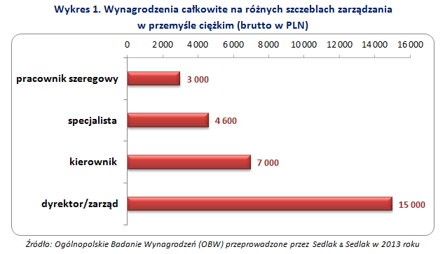 Wynagrodzenia Polaków w 2013 roku