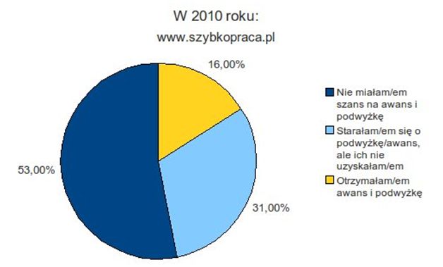 Polscy pracownicy i ich pozycja w pracy w 2010 r.