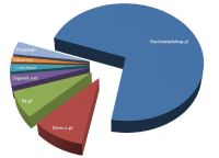 Najlepiej oceniane sklepy internetowe 2010