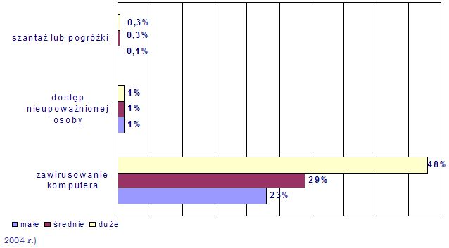 Internet i komputery w Polsce - raport 2004