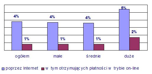 Internet i komputery w Polsce - raport 2004