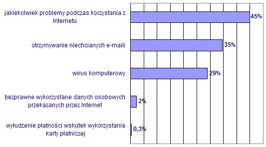 Internet i komputery w Polsce - raport 2004