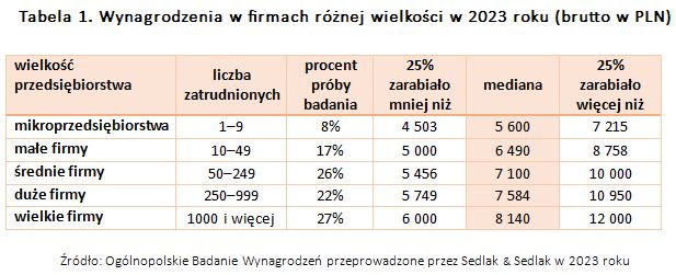 Wynagrodzenia w firmach o różnej wielkości w 2023 roku