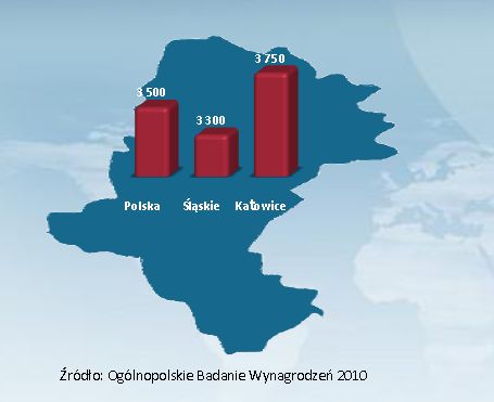 Ogólnopolskie Badanie Wynagrodzeń 2010