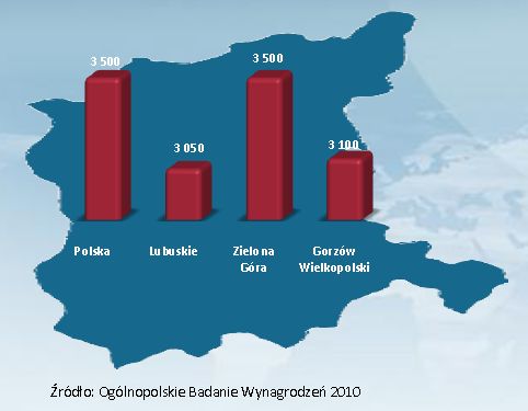 Ogólnopolskie Badanie Wynagrodzeń 2010