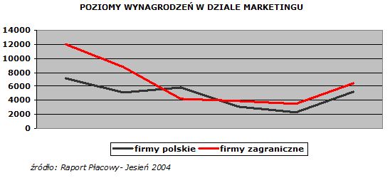 Wynagrodzenia w marketingu i sprzedaży 2004 r.