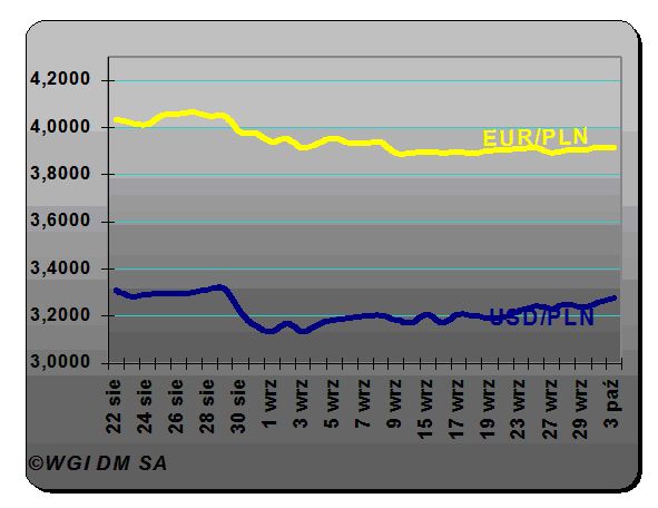 Złoty mocniejszy dzięki polityce i S&P