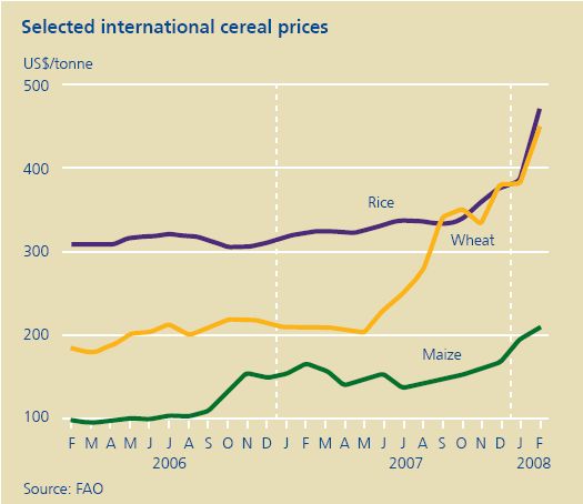 Rosnące ceny żywności zmieniają rynek