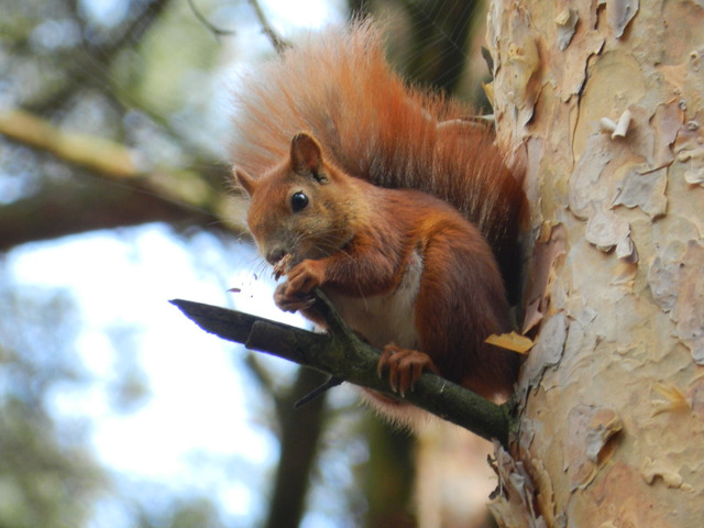 Nie tylko Mazury. Odkryj Jezioro Niesłysz i Ośrodek Wypoczynkowy KORMORAN