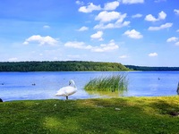 Jezioro Niesysz - lato nad wodą Jezioro Niesysz - lato nad wodą
