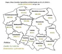 Stan Zasobu i gruntów w dzierżawie na 31 grudnia 2010 r.