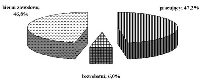 Aktywność ekonomiczna ludności I-III 2007