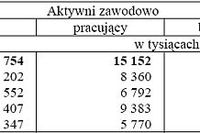 Aktywność ekonomiczna ludności IV-VI 2007