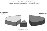 Aktywność ekonomiczna ludności VII-IX 2006