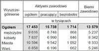 Ludność aktywna i bierna zawodowo w III kwartale 2013 r.