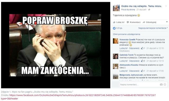 Beata Szydło i jej broszki w social media