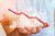 Bibby MSP Index XI 2016