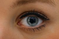 Corelens S.A. debiutuje na NewConnect