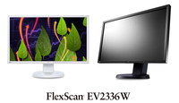 Monitor EIZO FlexScan EcoView
