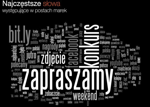 Facebook w Polsce 2013