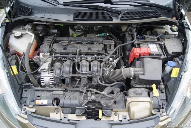 Ford Fiesta 1.4 Duratec Trend SVP silnik