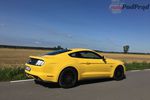 Ford Mustang GT 5.0 V8 - wio koniku