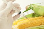 Polacy a GMO