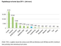 Kapitalizacja na koniec lipca 2011 r. (mln euro)