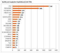 Spółki pod względem kapitalizacji (mln PLN)