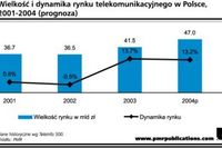 Rynek telekomunikacyjny w Polsce 2004