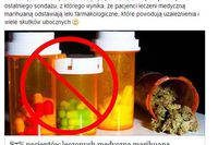 Medyczna marihuana: social media zdecydowanie na tak