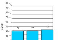 Indeks biznesu PKPP Lewiatan VI 2010