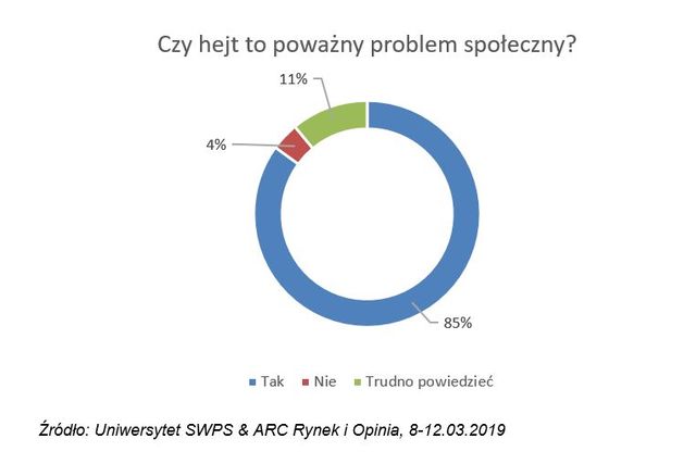 Polscy internauci i hejt