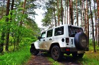 Jeep Wrangler Unlimited Arctic 2,8 CRD - tył