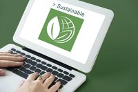 Sustainability-Linked Loans coraz popularniejsze dzięki nowym wytycznym Loan Market Association