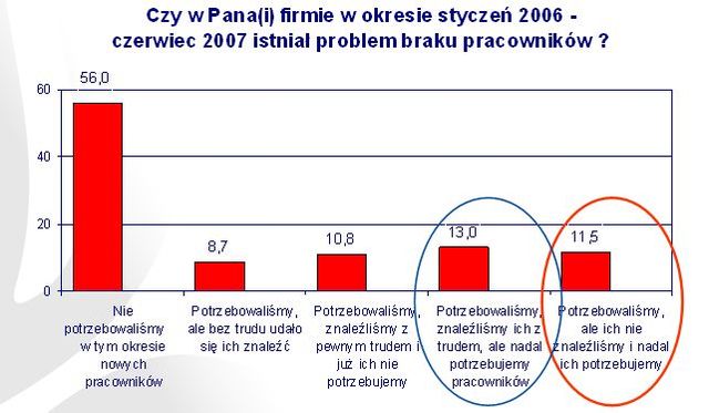 Lewiatan: sektor małych i średnich przedsiębiorstw 2007